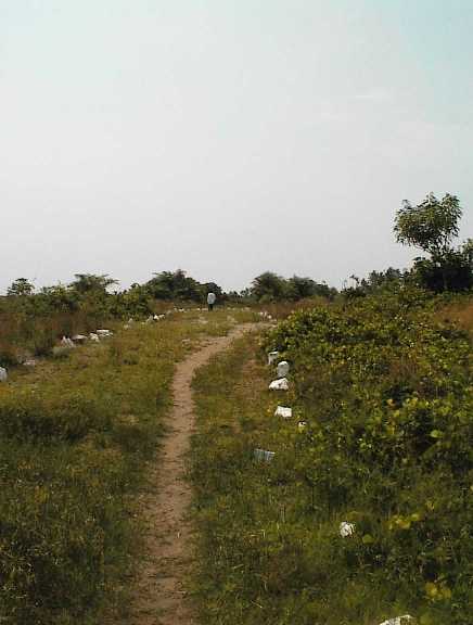 The slave route that cuts through Coconut Island in Badagry, leading to the Atlantic Ocean