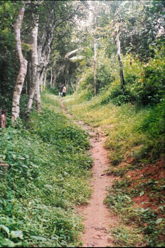 A footpath that leads from the sacred Eke Igbere