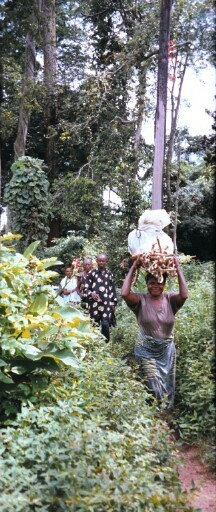 A lady returning from the farm through the Eke Igbere