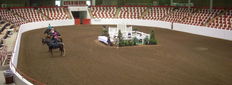 rocky mountain horse show