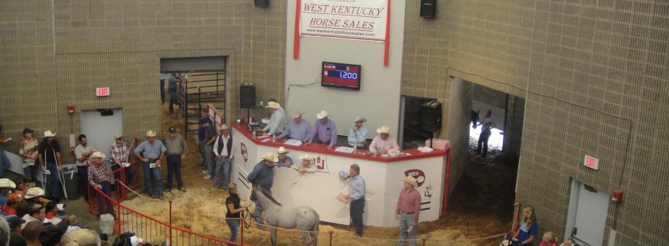 West KY Horse Sales