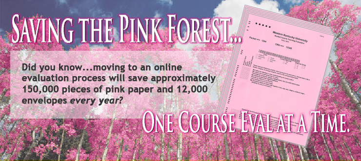 Online Course Evaluations