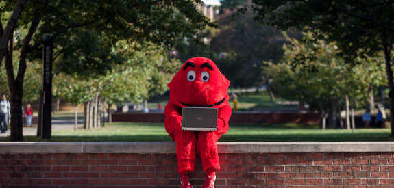 Big Red using a laptop outside on campus at WKU