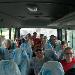 Bus Group