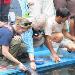Morgan and Jane feeding Manatee