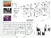 Wilson Thesis 1