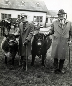 Livestock Judging