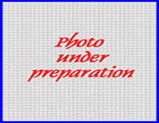 photo of James Polcer