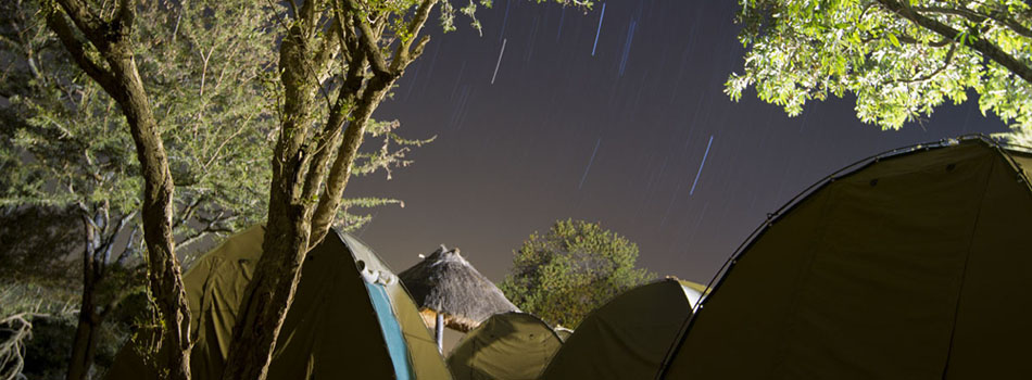 #caption3 Stars pass through the sky over Phelwana Game Reserve outside Hoedspruit, South Africa. The 11 students participating in the African wildlife management class stayed in tents at the reserve during the 12-day course.