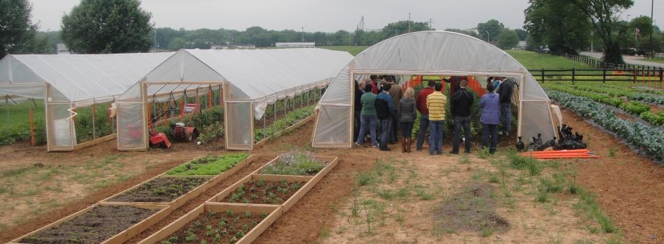 #caption8 Vegetable Production at WKU Farm, Agriculture Dept.