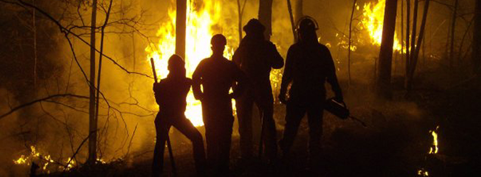 Fire Management For Barrens Restoration