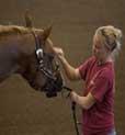 girl and horse