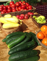Photo of tomatoes, squash, peppers, cucumbers, etc.