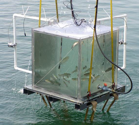 Seneca Lake trout sonar trial tank