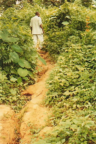 Mr. Ugwu retracing one of footpaths that probably served a slave route in Amannagwu village, Arochukwu.