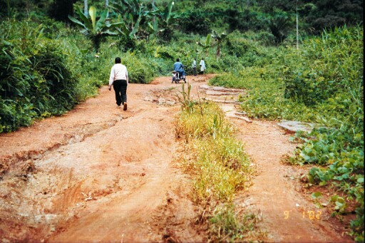 A former slave route to the market at Ikpe Ikot Nkon in Akwa Ibom State