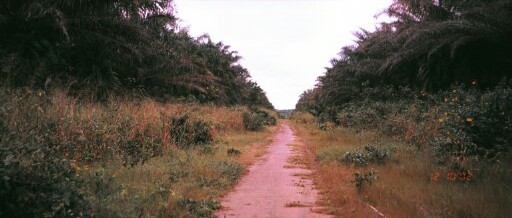 The road leading to Obegu