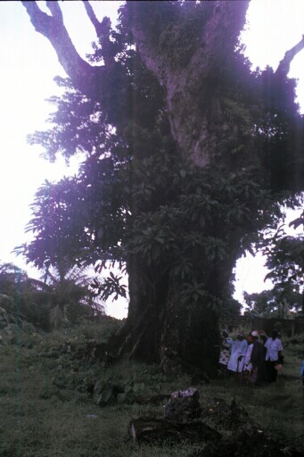 Onye ama-ama in Amaeke, the tutelary spirit of Ututu