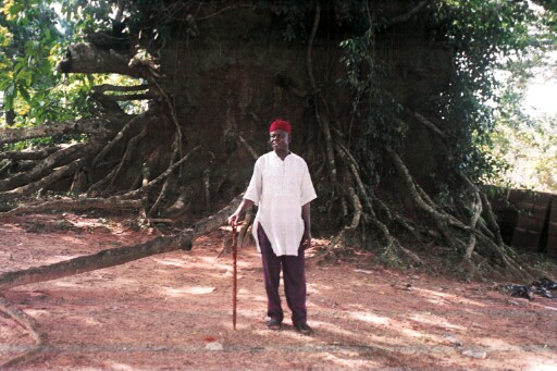 Chief Oji providing a historical narrative of the achi tree at Eke Oba