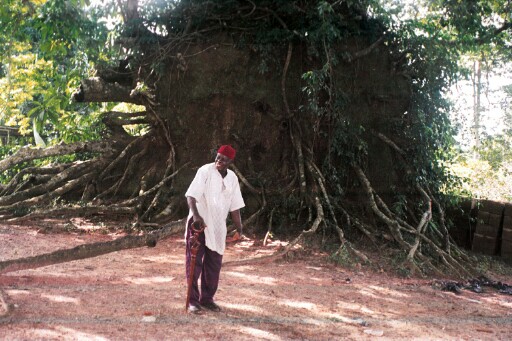 Chief Oji narrating the legend of the achi tree