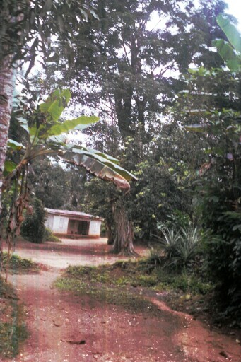 A house close to Eke Oba, the former slave market