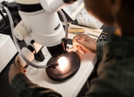 close up microscope