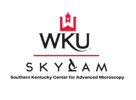 SkyCam Logo