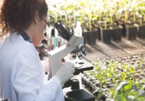 micro and plants