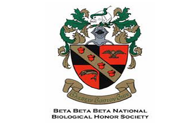 beta logo