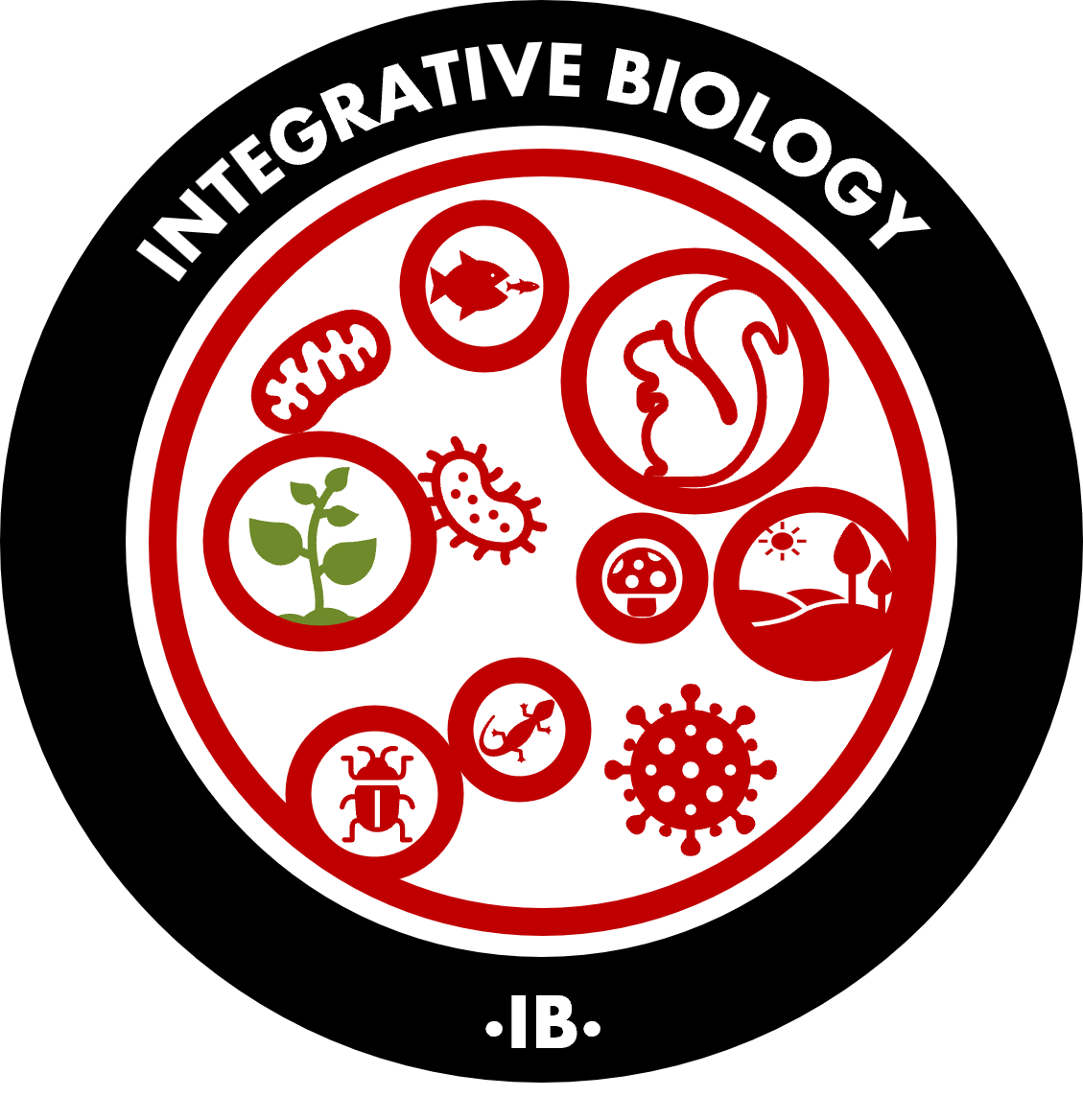 ib logo