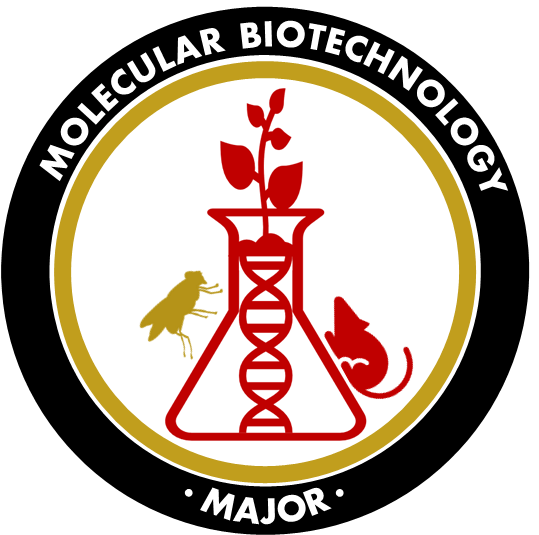 mb logo
