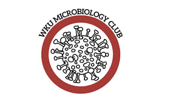 newmicroclub