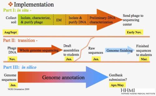 genome discovery chart
