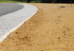 Bioswale along the on-road parking lane