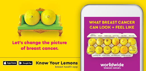 know your lemons app pc