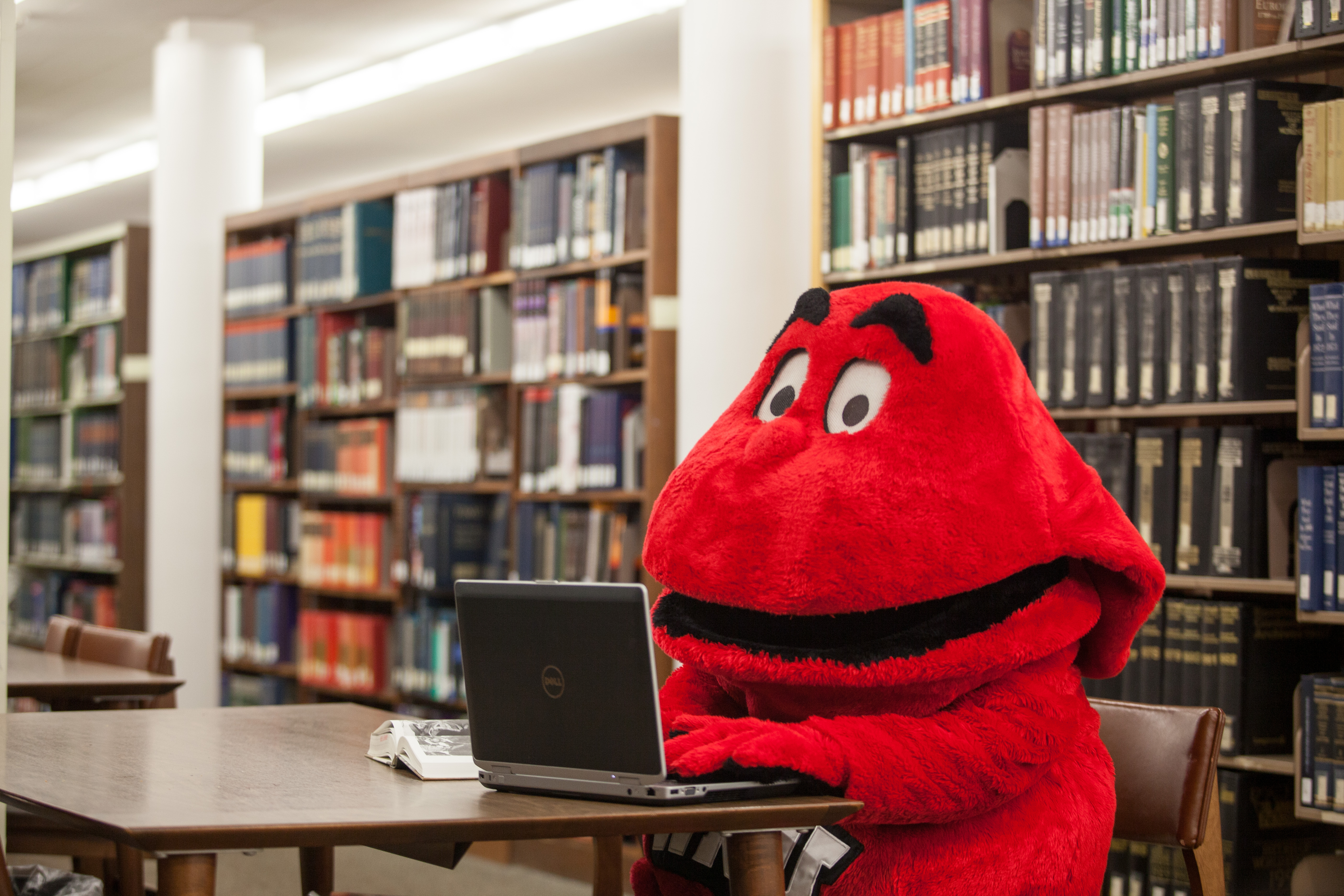 Big Red in the library working on a laptop
