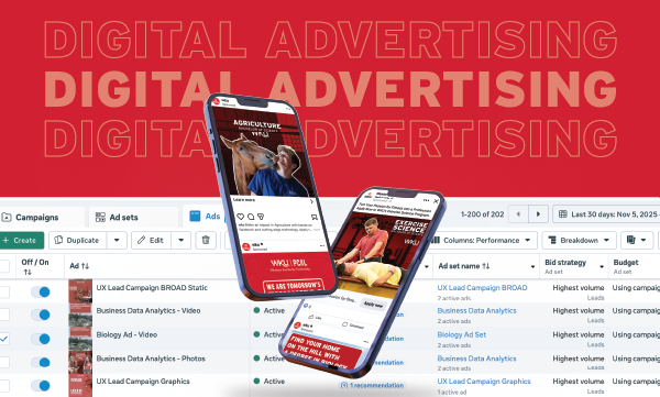 Examples of Digital Advertising