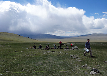 fieldsite mongolia