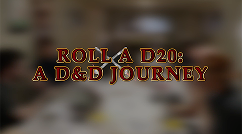 Roll a D20 Screen Shot