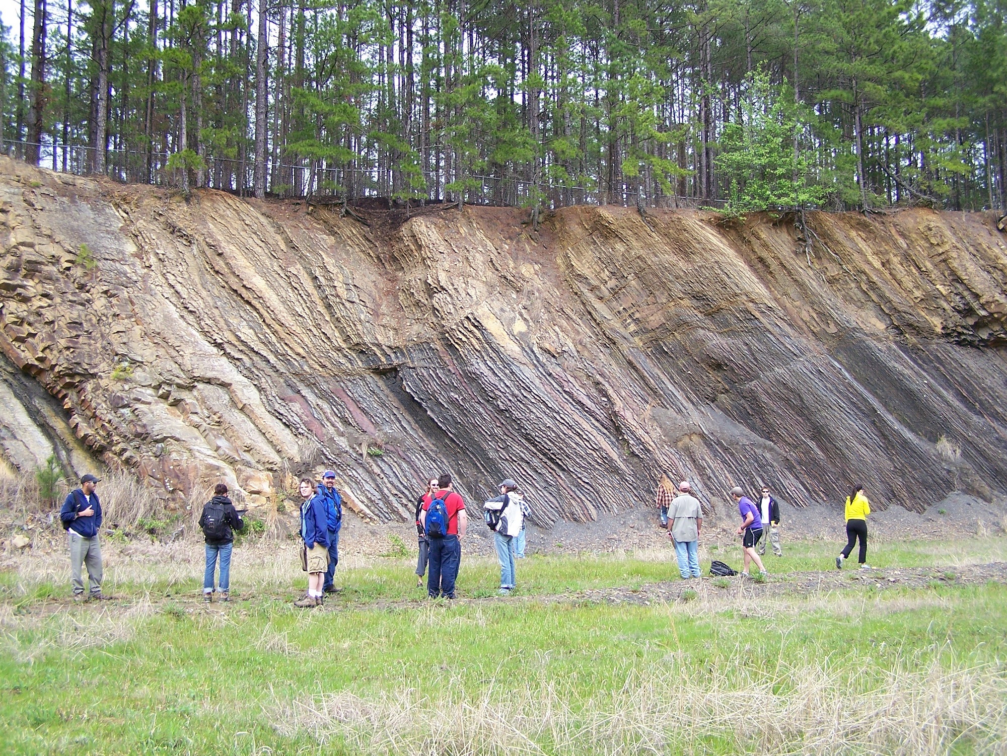 Students in Field
