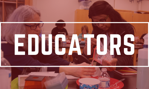 two women performing a science experiment, both look deep in concentration