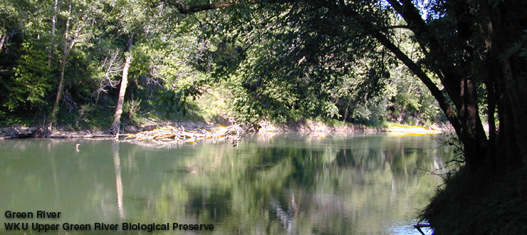 WKU Green River Preserve