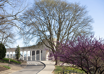 Spring at the Colonnade