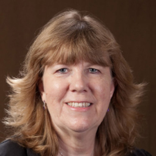 STE Professor Emeritus Receives Fulbright U.S. Scholar Award