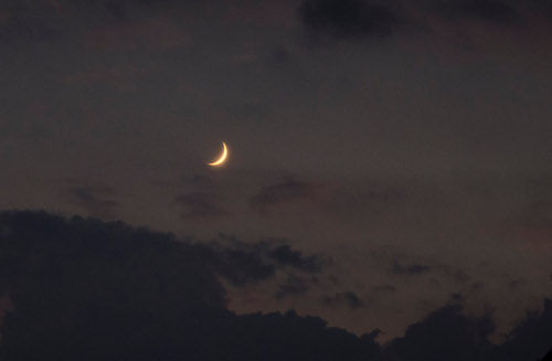 One Month and Counting