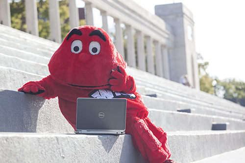 WKU online programs earn national rankings from U.S. News & World Report