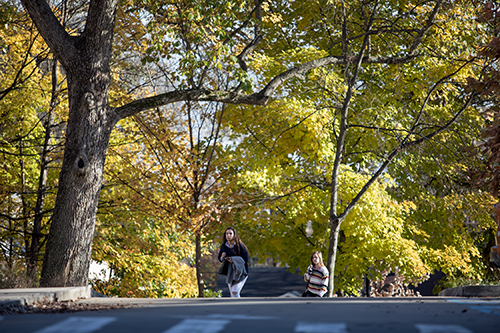 Today@WKU: November 20, 2018