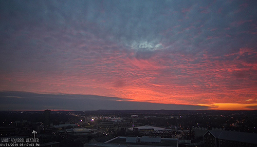 Today@WKU: February 1, 2019