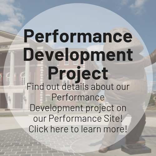 Performance Development Project