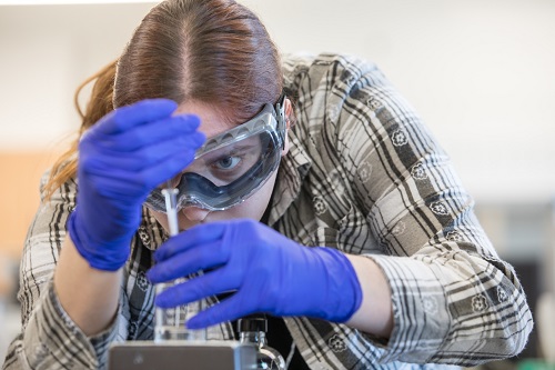 Chemistry Student Conducts Research on Removing Steroids From Wastewater